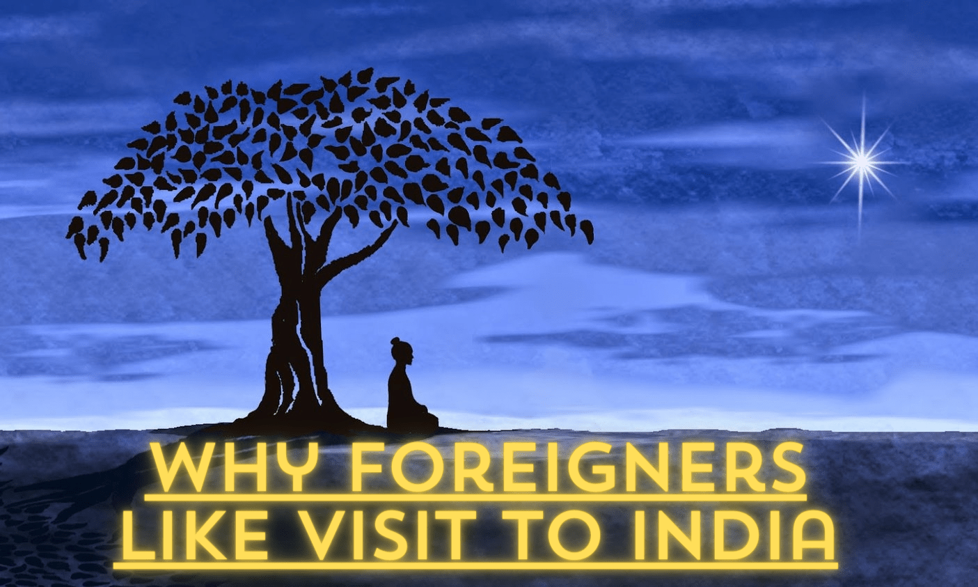 Why foreigners like visit to india