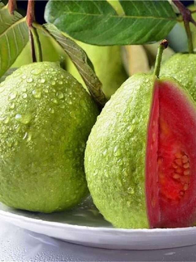 6 Health  benefits of Guava